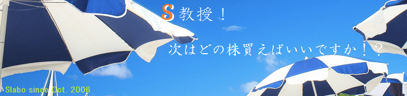 S教授次はどこの株買えばいいですか